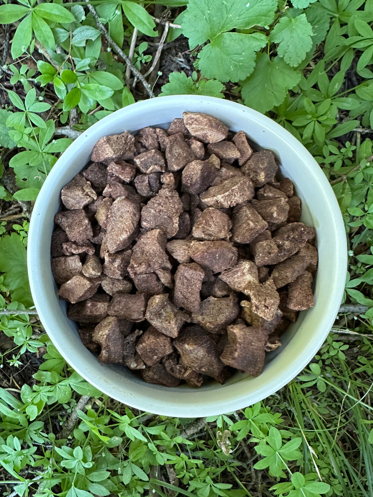 Beef liver dog treats from FOUNDATION Outdoors, showing raw beef liver pieces on a surface, ready for pet training or snacking.
