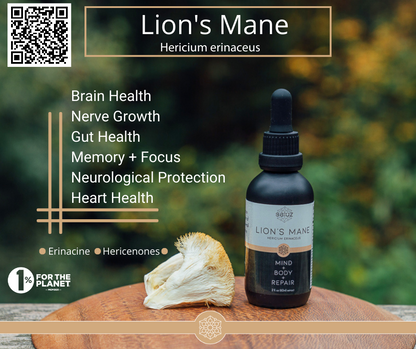Front view of Saluz.io Lion's Mane supplement bottle, emphasizing brain health, memory, and focus support in a natural setting