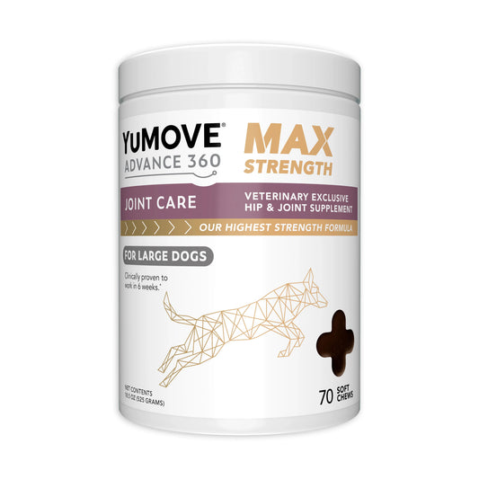 Pasteur Pharmacy YUMOVE ADV 360 MAX Strength Hip and Joint Supplements in a bottle, designed to support joint health and mobility.