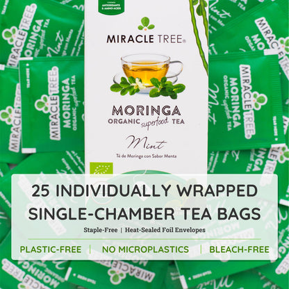 Organic Moringa herbal tea with mint leaves from Miracle Tree, caffeine-free and naturally refreshing in a tea bag.