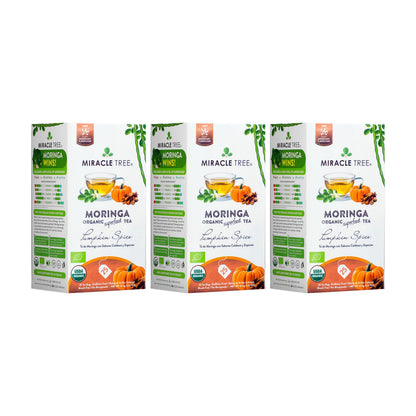 Organic Moringa Tea by Miracle Tree featuring pumpkin spice flavor, caffeine-free herbal tea with fresh moringa leaves and warm spices.