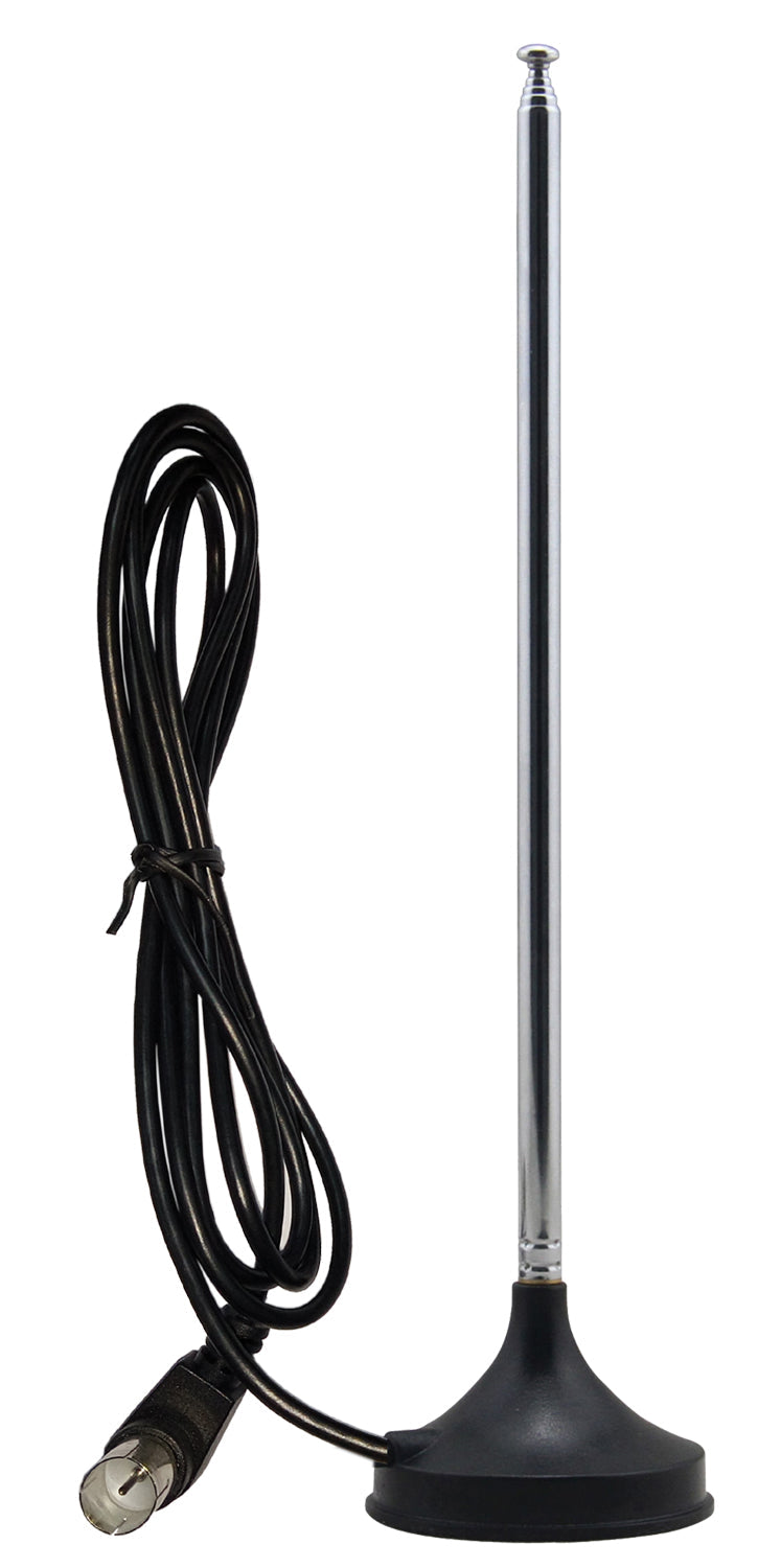 Naxa 10-inch portable 12V TV and digital multimedia player with antenna, compact design, and screen displaying broadcast content.
