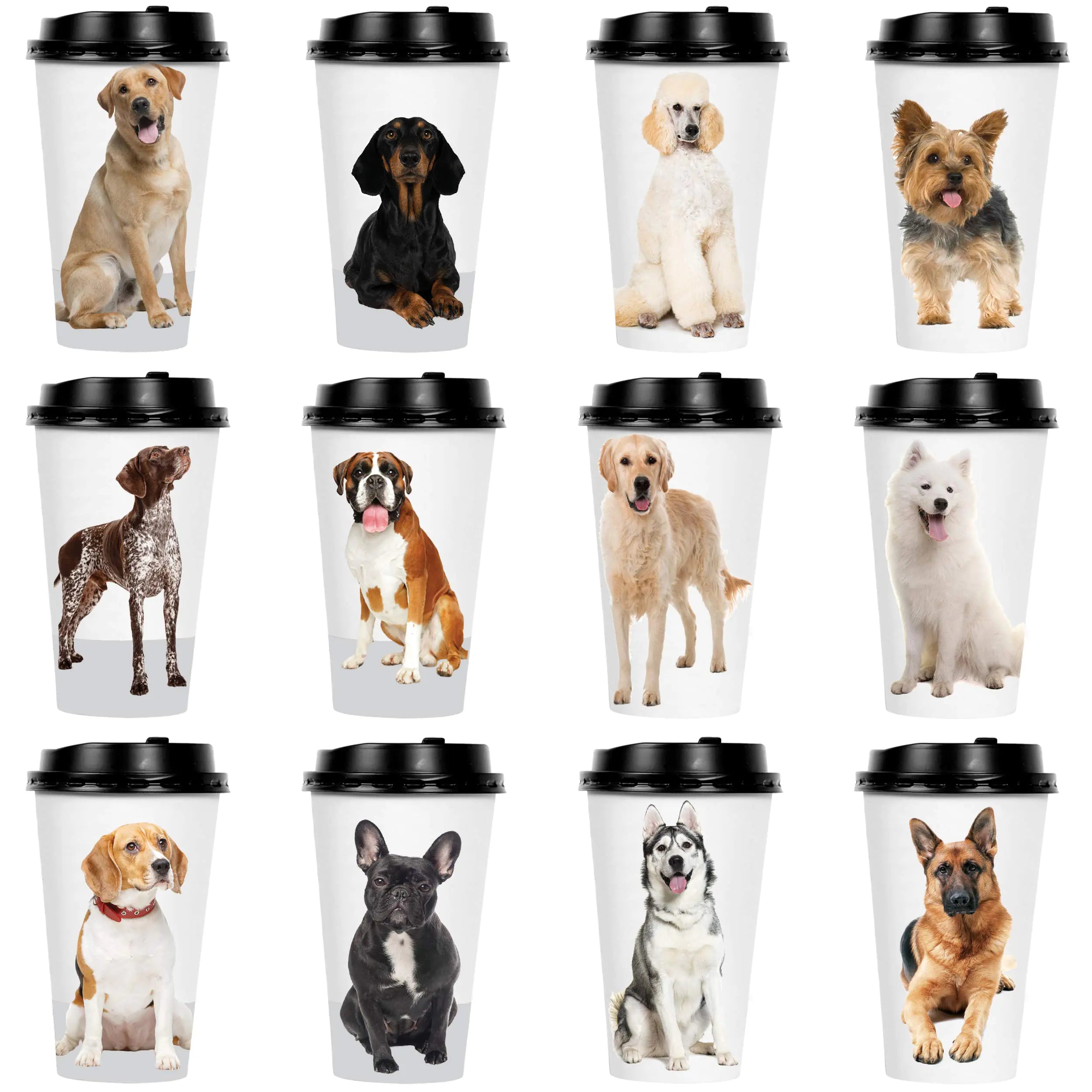 Youngever 72 Sets Disposable Coffee Cups with Lids To Go Hot Coffee Cups Durable Paper Cups with Lids (Dog Puppy Theme Design)