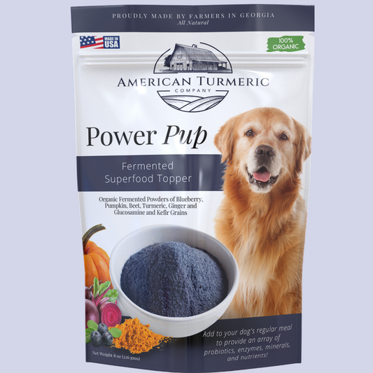Power Pup fermented turmeric powder for dogs, a lead-free superfood meal topper from America's Best Turmeric.