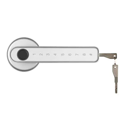 Electronic Password Fingerprint Door Lock