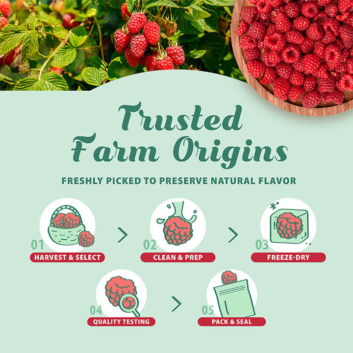 Whole freeze-dried raspberries from VFD.US, Grade A natural fruit with vibrant red color and crisp texture.