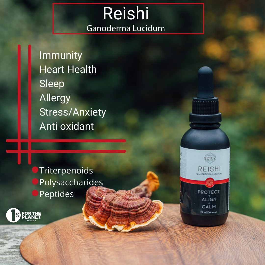 Reishi mushroom tincture bottle labeled Calm/Relax from Saluz.io, 2 oz. natural supplement for relaxation and wellness.
