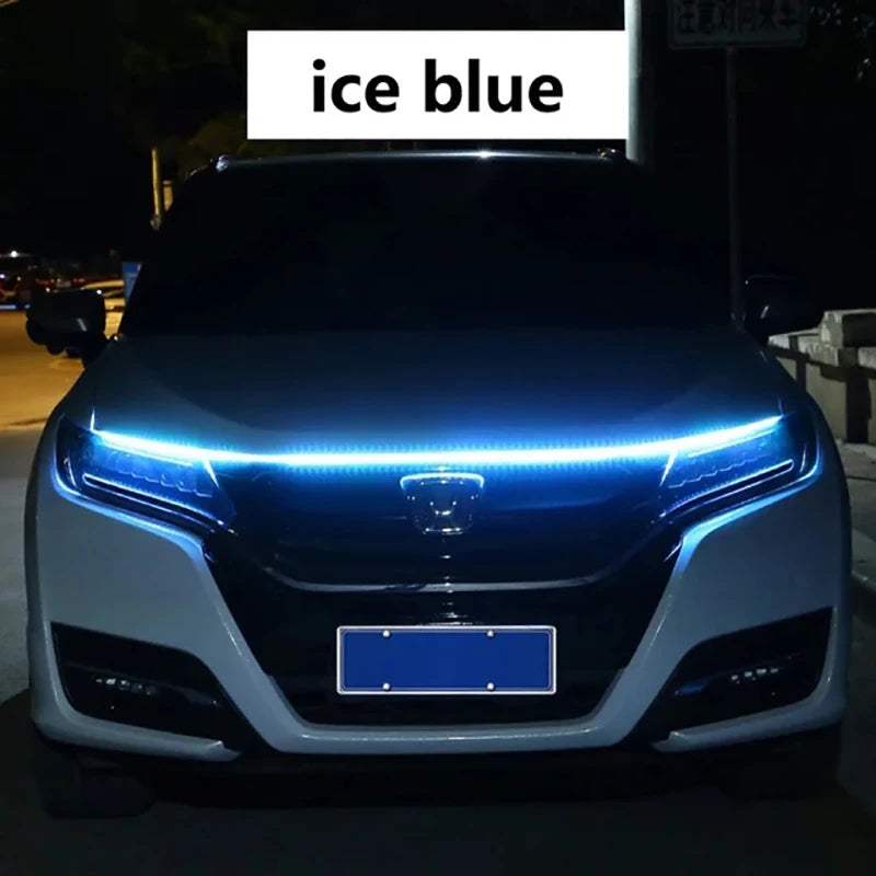 vimg_6
