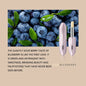 Blushimmer natural fruit-flavored lip balm showing moisturizing, nourishing lip gloss with glossy, smooth lips.