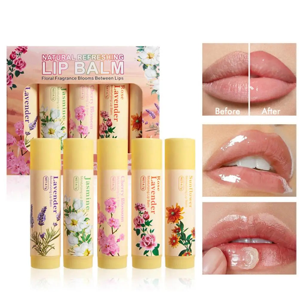 Assorted fruit flavor Blushimmer lip balm set with 6 or 24 pieces, hydrating and nourishing for dry lips and fine lines.