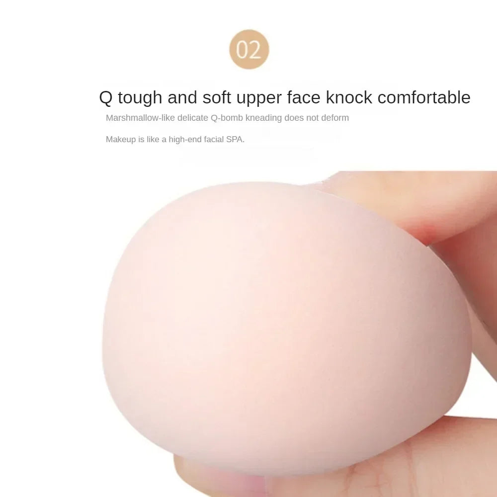 Blushimmer 12-piece all-purpose makeup sponge set with powder puffs, mini air cushion puffs, beauty eggs, and mini beauty sponges.