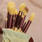 Set of 13 Blushimmer makeup brushes including eyeshadow, foundation, blush, and cosmetic tools in a soft makeup bag.