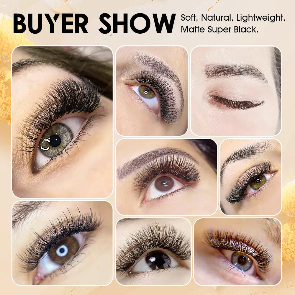 Blushimmer MASSCAKU 12Lines premium mink 3D-6D false eyelash extensions on a tray, soft and natural individual lash supplies.