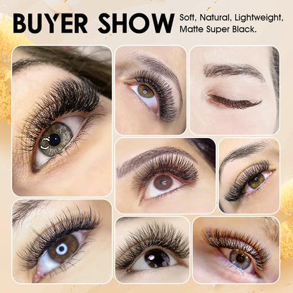 Blushimmer MASSCAKU 12Lines premium mink 3D-6D false eyelash extensions on a tray, soft and natural individual lash supplies.