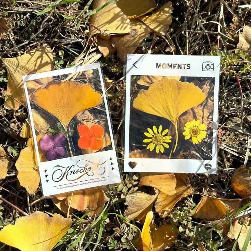 20PCS Transparent Self-adhesive Paper DIY Handicrafts - Suitable for Decorating Scrapbooks and Bookmarks