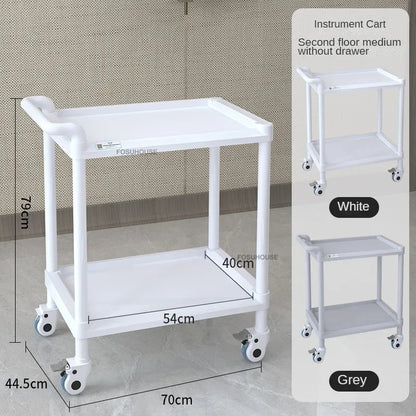 European Plastic Salon Trolleys with Wheels Auxiliary Tool Cart Designer Salon Furniture Beauty Salon Instrument Equipment Shelf