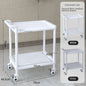 European Plastic Salon Trolleys with Wheels Auxiliary Tool Cart Designer Salon Furniture Beauty Salon Instrument Equipment Shelf