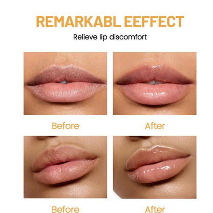Assorted fruit flavor Blushimmer lip balm set with six or twenty-four pieces, featuring hydrating and nourishing formulas for dry lips.