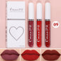 Blushimmer 3-piece matte lipstick and lip gloss set with long-lasting, waterproof, non-fading formulas, ideal for everyday or holiday wear.