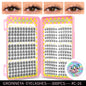 Blushimmer GROINNEYA eyelash clusters, 320 pcs natural eyelash extension tray with mixed volume lash clusters.