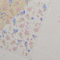 Blushimmer Dream Flower shell light nail art stickers with Japanese flower design, self-adhesive press-on nail decals.