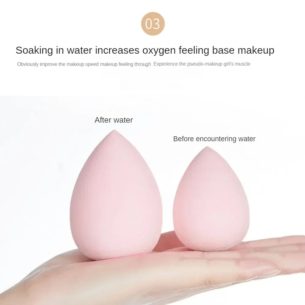 Blushimmer 12-piece all-purpose makeup sponge set includes powder puffs, mini air cushion puffs, beauty eggs, and mini beauty sponges.
