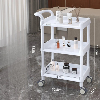European Plastic Salon Trolleys with Wheels Auxiliary Tool Cart Designer Salon Furniture Beauty Salon Instrument Equipment Shelf
