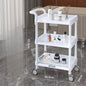 European Plastic Salon Trolleys with Wheels Auxiliary Tool Cart Designer Salon Furniture Beauty Salon Instrument Equipment Shelf