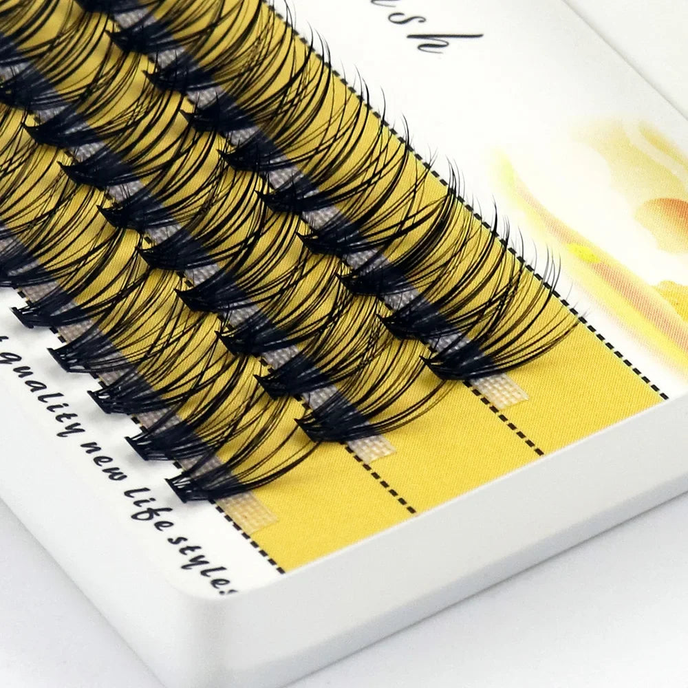 Blushimmer 20D/30D Mink Eyelash extensions in a box with 60 bundles, natural 3D Russian individual eyelash clusters for makeup.