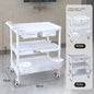 European Plastic Salon Trolleys with Wheels Auxiliary Tool Cart Designer Salon Furniture Beauty Salon Instrument Equipment Shelf