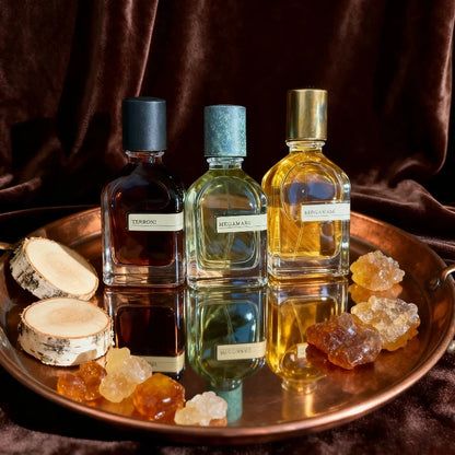 Unisex oriental woody perfume by Blushimmer, 50ml bottle with warm amber, soft musk, and earthy notes in elegant glass packaging.