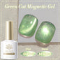 BORN PRETTY 117 Colors Cat Magnetic Gel Nail Polish 10ml Full Coverage Varnish Semi Permanent Super Gorgeous Nails Manicure