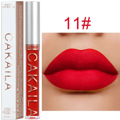 Blushimmer velvet matte lipstick and lip gloss in light red liquid tint with silky texture, long-lasting women's cosmetics.