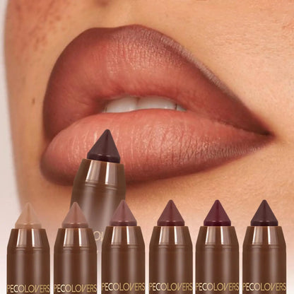 Blushimmer 2-in-1 matte waterproof lipstick and lip liner pencil in brown, long-lasting velvet lip makeup for women.