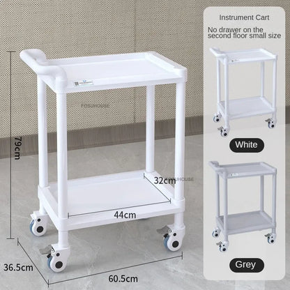 European Plastic Salon Trolleys with Wheels Auxiliary Tool Cart Designer Salon Furniture Beauty Salon Instrument Equipment Shelf