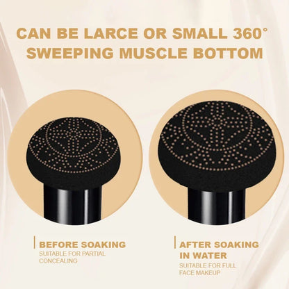 Blushimmer Ocheal BB Cream Air Cushion Compact with mushroom head puff for face makeup and concealer application