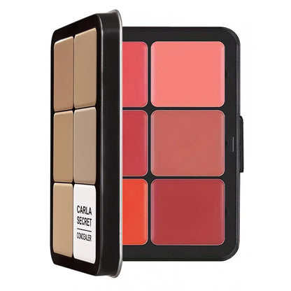 Blushimmer 12-color all-in-one makeup palette featuring concealer, blush, cream, matte highlight, and contour products.