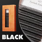 DeceMars 6D-W shaped eyelash extension by Blushimmer, showcasing full, voluminous lashes with a W-shaped curl design.
