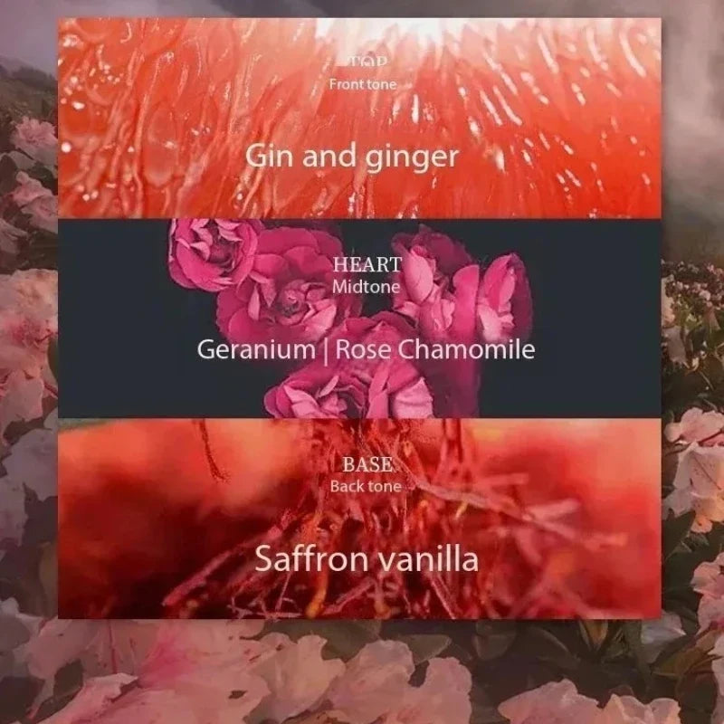 Blushimmer 75ML women's floral parfum bottle with elegant design, showcasing a high-quality pheromone eau de toilette for feminine fragrance.