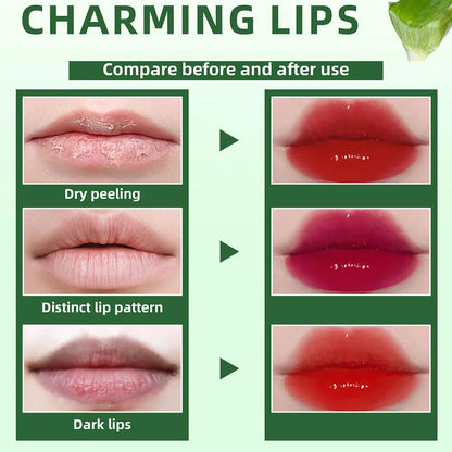 Blushimmer 6-color lip tint set featuring plumping, moisturizing liquid lipsticks with aloe vera and multi-use lip and cheek stain.