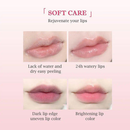 Blushimmer 6-piece natural fruit discolored lip balm set with color-changing, moisturizing, glossy lip tints and nourishing lipstick.