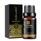 Blushimmer lavender, jasmine, eucalyptus, vanilla, sandalwood, bergamot, rosemary, citronella, and cinnamon fragrance oil in a 10ml bottle