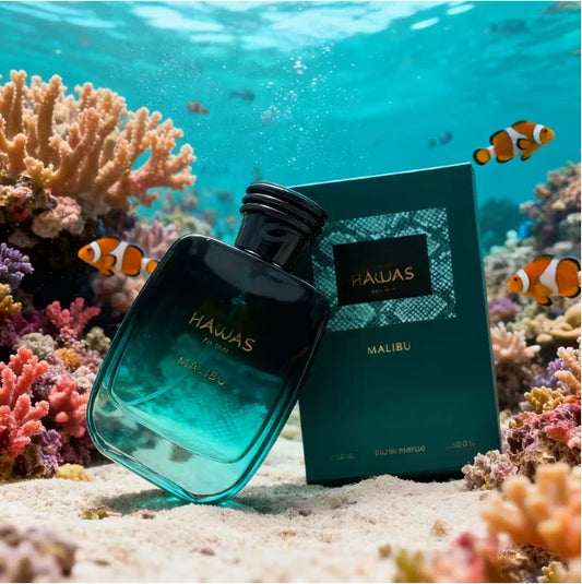 Blushimmer HAWAS MALIBU men's perfume bottle with citrus scent, 3.4 fl oz, stylish design for fashionable men