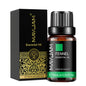 Blushimmer Lavender Jasmine and Eucalyptus essential oil fragrance bottle with citrus and vanilla notes, 10ml size.