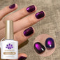Blushimmer Born Pretty 10ml purple grape cat magnetic gel nail polish with fruit-inspired design and glass beads for nail art.