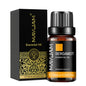 Blushimmer MAYJAM 10ml essential oil blend with lavender, jasmine, eucalyptus, vanilla, sandalwood, and citrus fragrance.