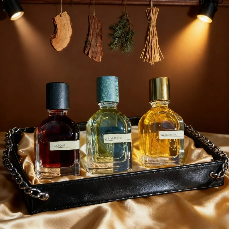 Unisex oriental woody perfume by Blushimmer with warm amber, soft musk, and earthy notes in a 50ml bottle.