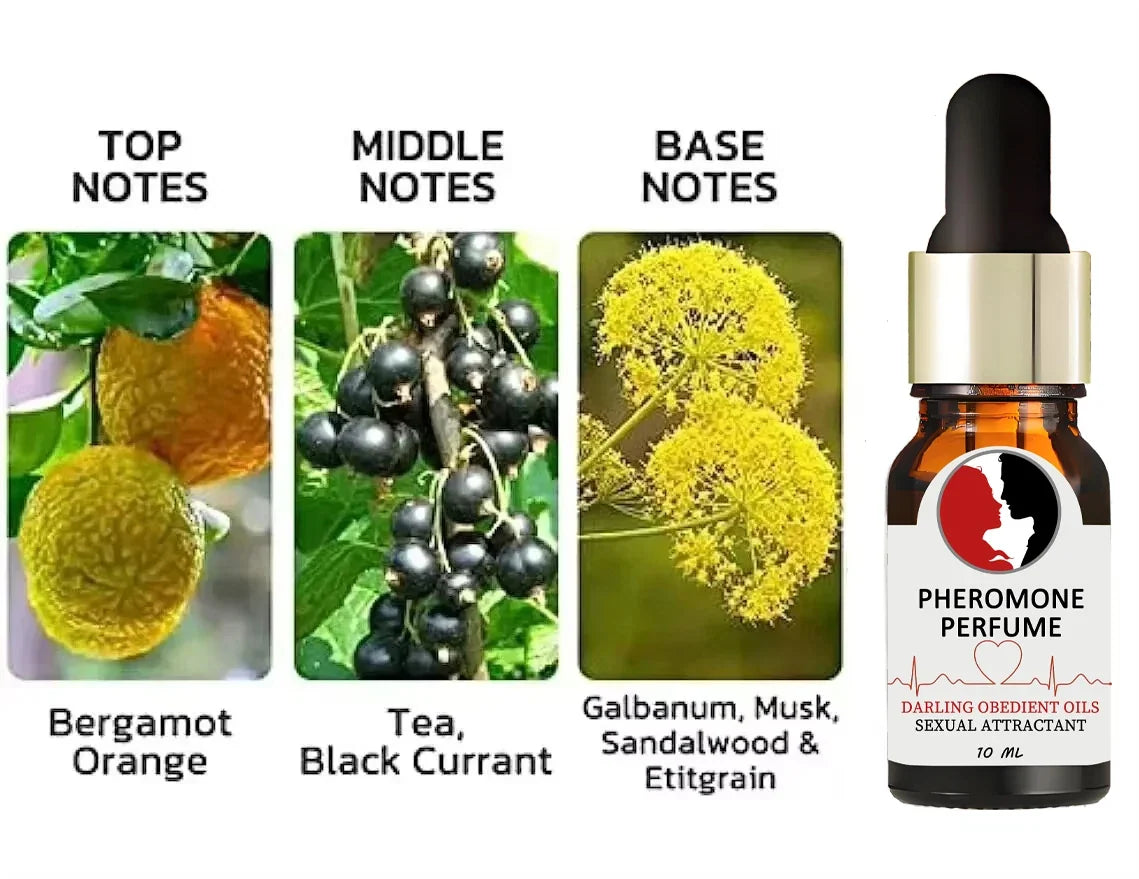 Blushimmer male pheromone perfume bottle with seductive fragrance, designed to attract women and enhance flirting and dating.