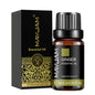 Blushimmer Lavender Jasmine Eucalyptus Vanilla sandalwood fragrance oil in a 10ml glass bottle with a black cap.