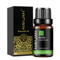 Blushimmer Lavender Jasmine Eucalyptus Vanilla Sandalwood fragrance oil bottle with a colorful label and dropper cap.